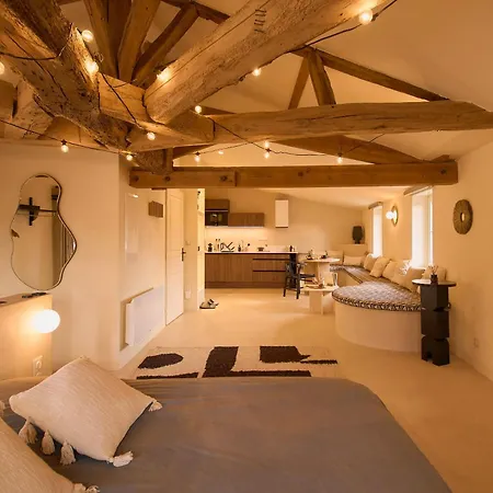Atypique De 45m2, En Centre De